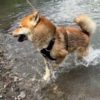 自力で岸に辿り着きました