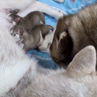 お兄ちゃんも手厚くサポート