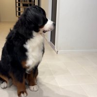 パパさんが心配で、しょんぼり…