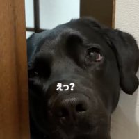 説得は難航中…