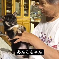 名前を呼びかけるおばあちゃん