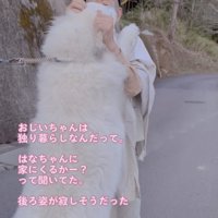 おじいちゃんも笑顔に