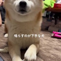 ベルは鳴らない