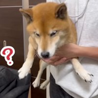 あれだけ抵抗したのに…！？