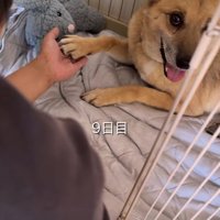 どう接していいのか分からない