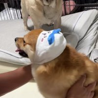 チャイムが鳴ったら…