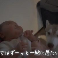 大切な存在に…