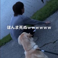 お散歩中のベイリーちゃんとパパ7