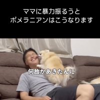 なぜパパなのか
