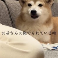 「幸せだわぁ」