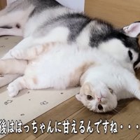 甘えながらまったり♡