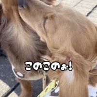 「びっくりしたじゃんー！」