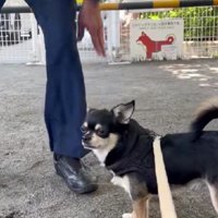 「遊べないなんて…」