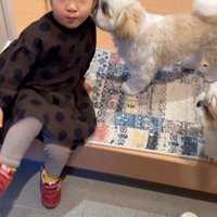 コロくんとチチちゃんと女の子の日常3