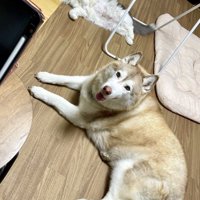 そばで追いかけっこをしていた2匹