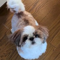 別の日には…