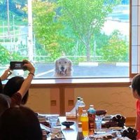 そこにいたのはミッチェルちゃん！