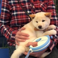 初めての病院で不安そうなノンくん