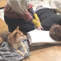 ずっと見守り続けるマメちゃん