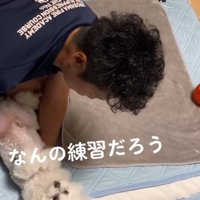 抱っこされる犬