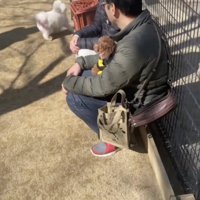 知らない人に馴染んでる