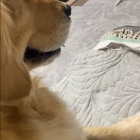 横顔のメルちゃん