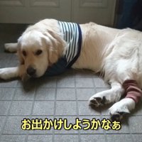 ギンちゃんの表情の変化4
