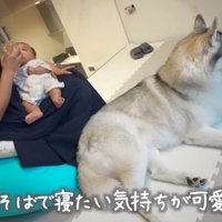 ずっとそばにいたい…