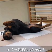 無防備すぎる寝姿