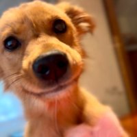 優しい表情のくるみちゃん