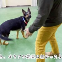 まだ許してくれないようです（笑）