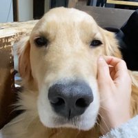 「もうっ、ママの1番は僕でしょ！」