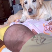 子守をするベルちゃん