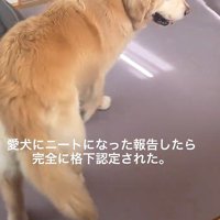 くるりと方向転換