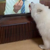 グルメ