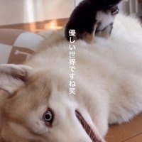 温かな絆にほっこり♡