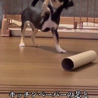 「前足って、こんなに上がるの…？？」