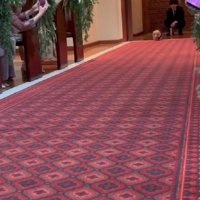 リングドッグを任された