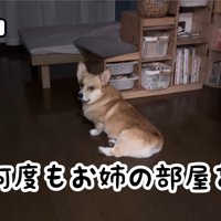 お姉ちゃんの部屋へ
