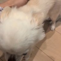 「おかえり！」