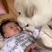 愛が止まりません…