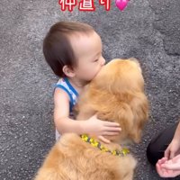 男の子が犬をぎゅっと抱きしめる