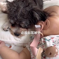 マロンちゃんと赤ちゃん4