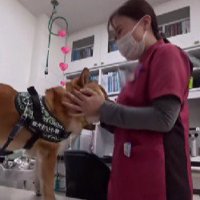 診察台の上で大喜び