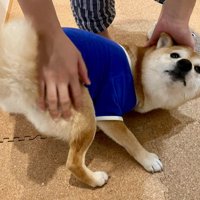 朝からナデナデを要求♪