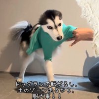 さらに細くなっていく