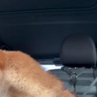 投稿主さんもクスッ