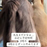 ハルちゃんも一緒にソワソワ