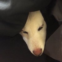 「すっごく嫌だった！慰めて～」