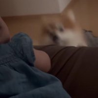 「ジャンプなら出来るよ！」